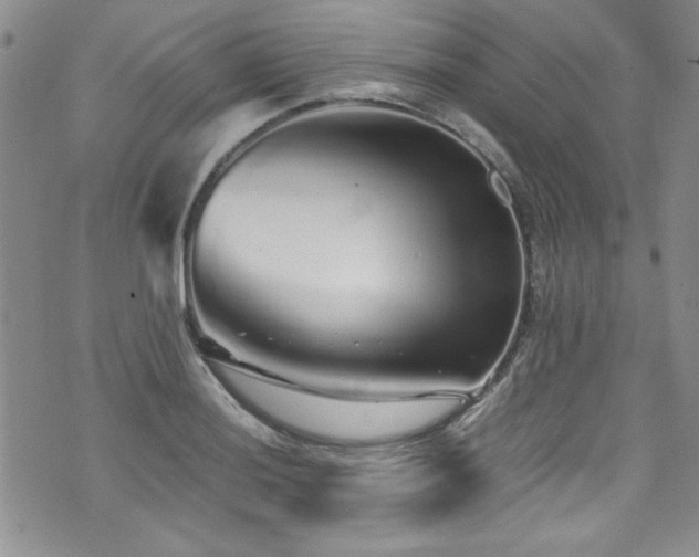 X0000076271036200609281200