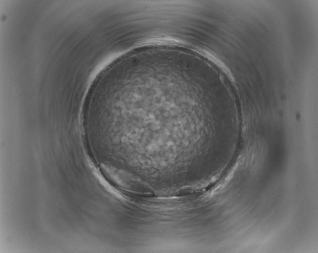 X0000076271037200609281200