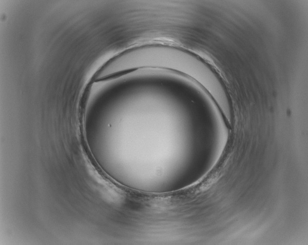 X0000076271038200609281200