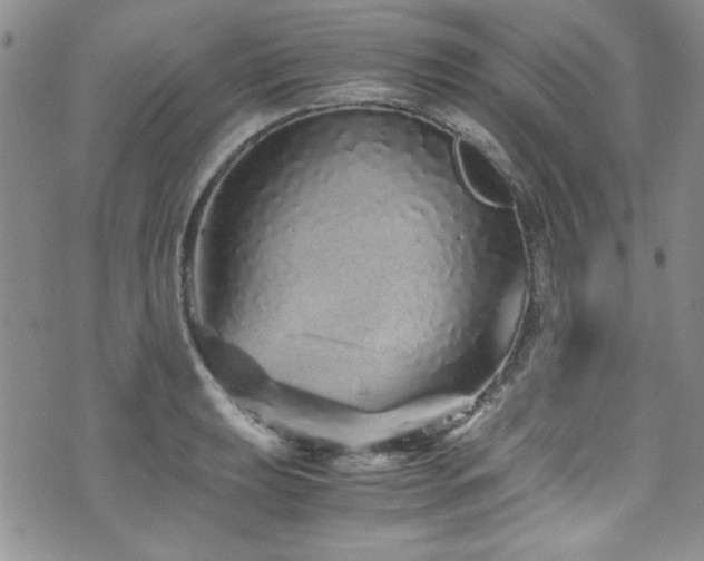 X0000076271039200609281200