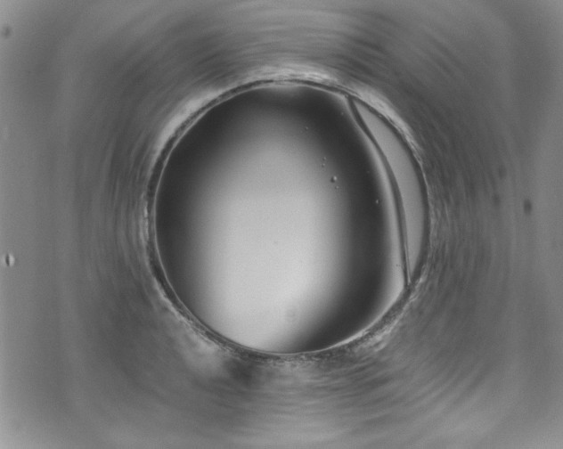 X0000076271040200609281200