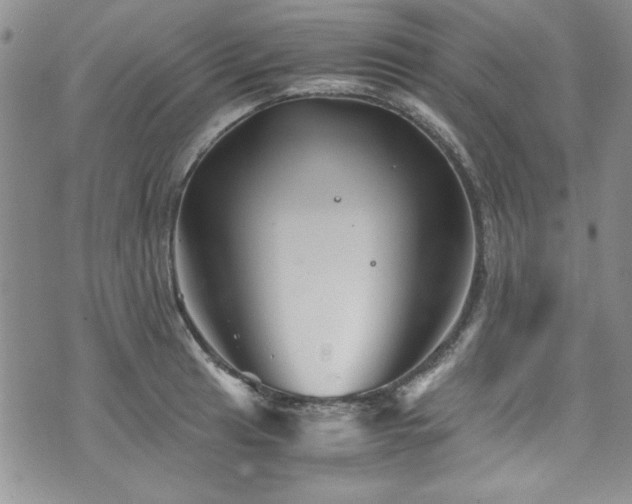 X0000076271041200609281200