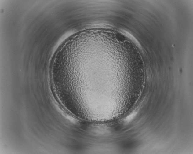 X0000076271043200609281200