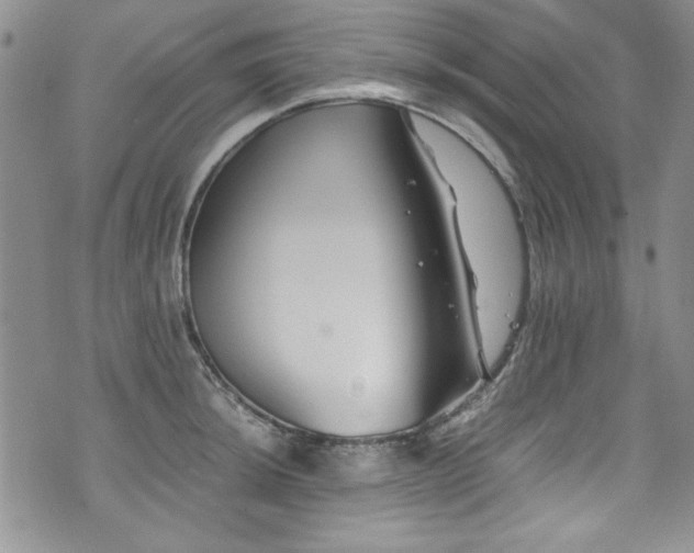 X0000076271044200609281200