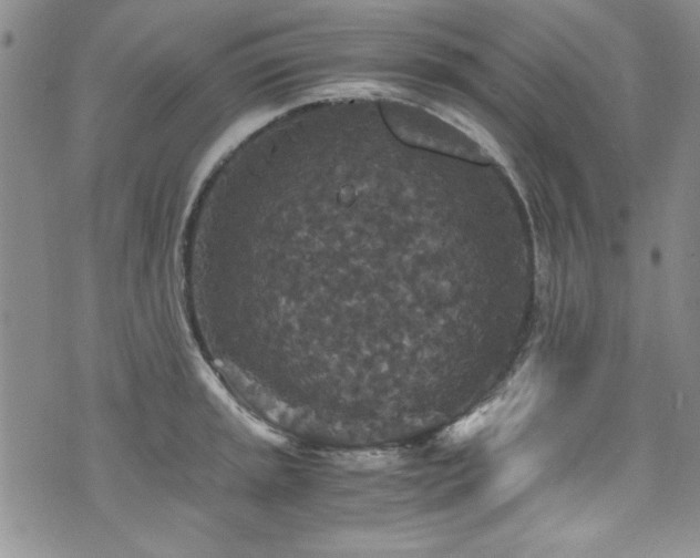 X0000076271045200609281200