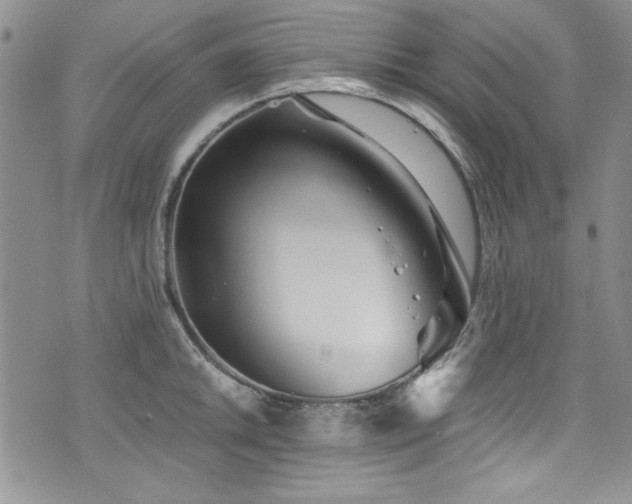 X0000076271046200609281200