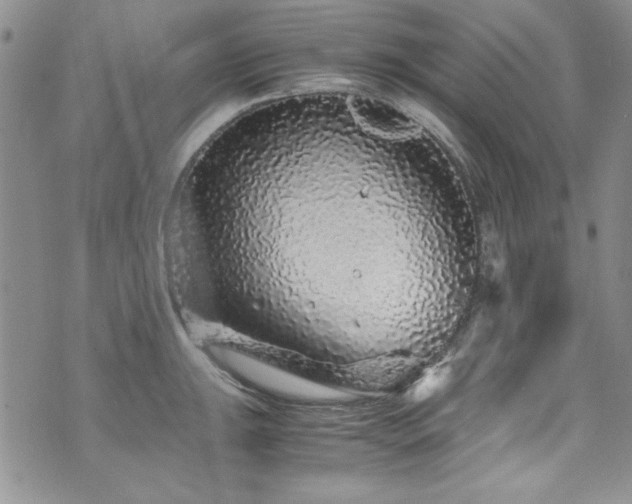 X0000076271047200609281200