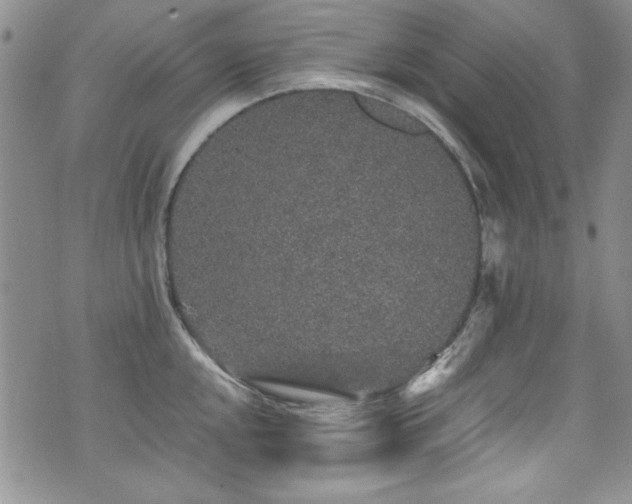 X0000076271048200609281200