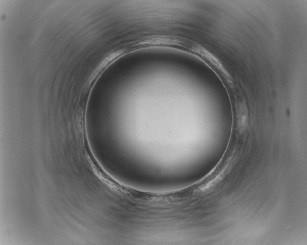 X0000076271049200609281200