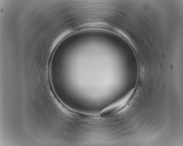 X0000076271050200609281200