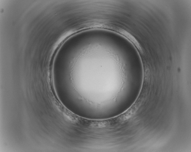 X0000076271051200609281200