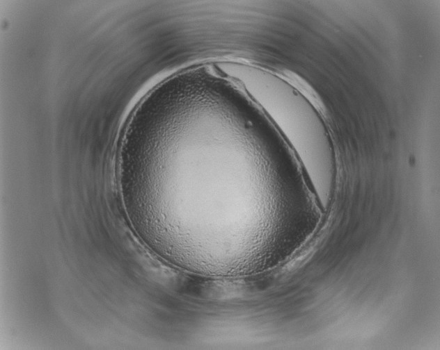 X0000076271052200609281200