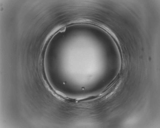 X0000076271053200609281200