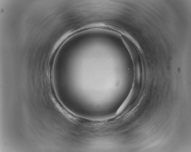 X0000076271054200609281200