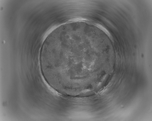 X0000076271055200609281200