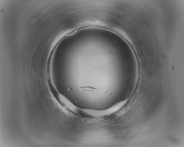 X0000076271056200609281200