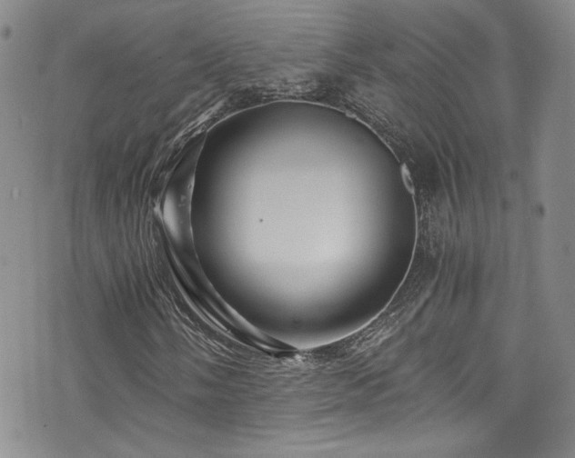 X0000076271058200609281200