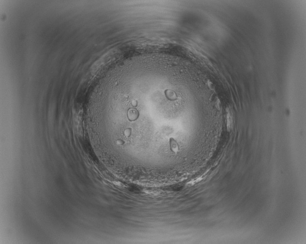 X0000076271059200609281200