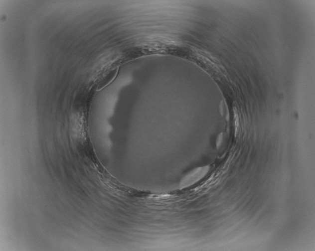 X0000076271060200609281200