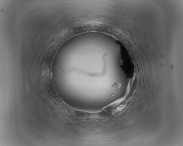 X0000076271061200609281200