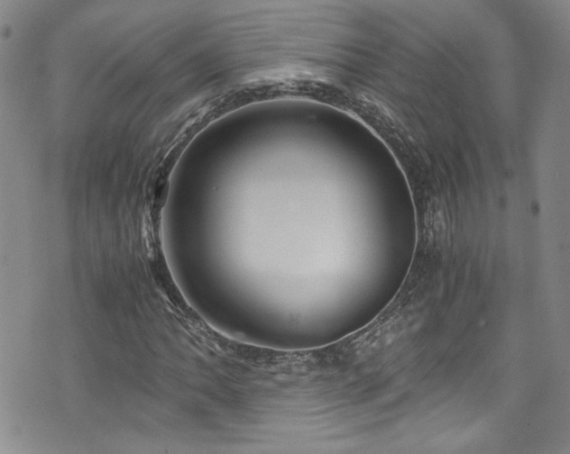 X0000076271062200609281200