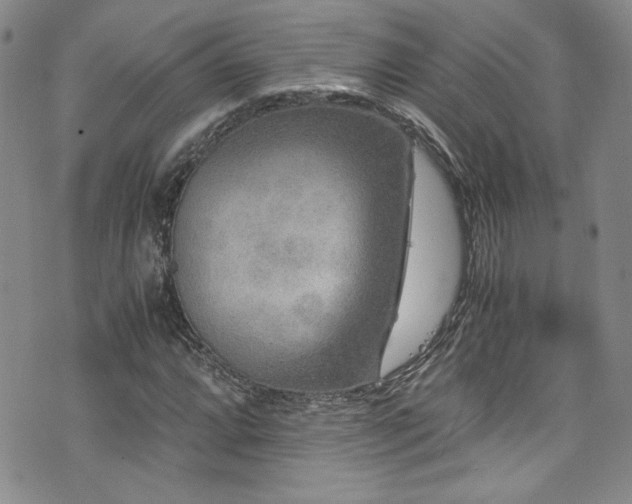 X0000076271064200609281200