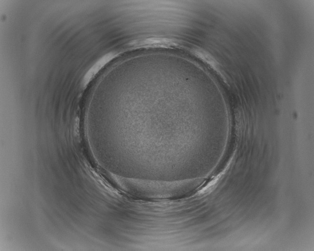 X0000076271066200609281200