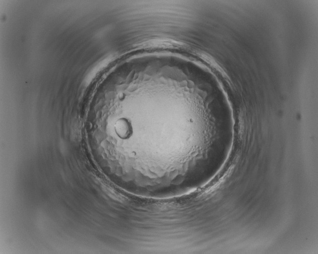 X0000076271067200609281159