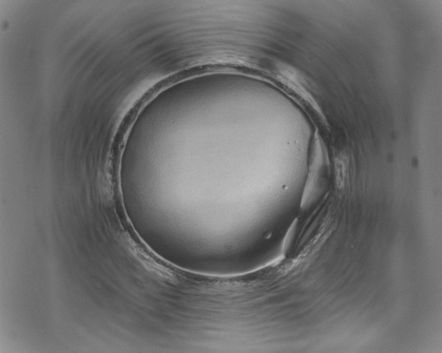 X0000076271068200609281159