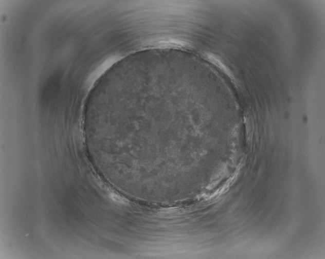 X0000076271071200609281159