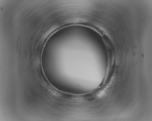 X0000076271073200609281159