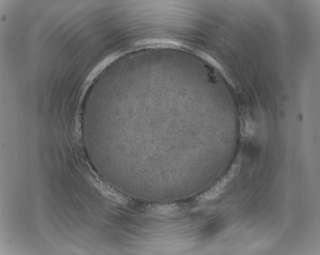 X0000076271074200609281159