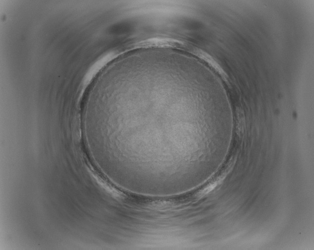 X0000076271075200609281159