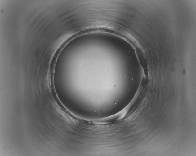 X0000076271076200609281159