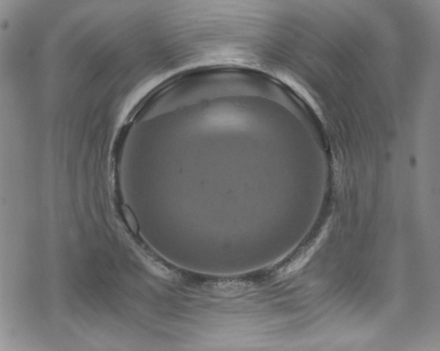 X0000076271077200609281159