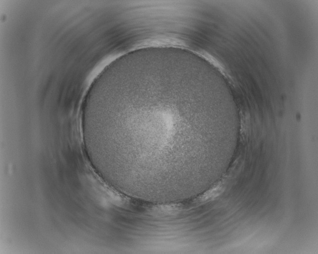 X0000076271078200609281159