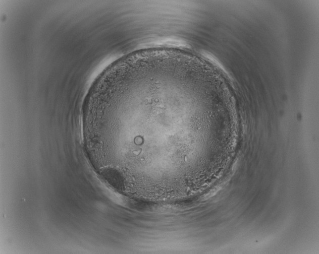 X0000076271079200609281159