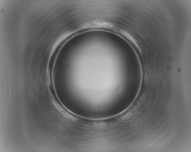 X0000076271080200609281159