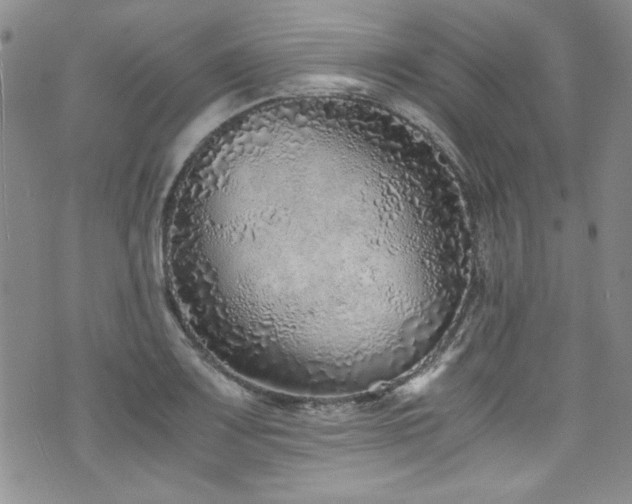 X0000076271083200609281159