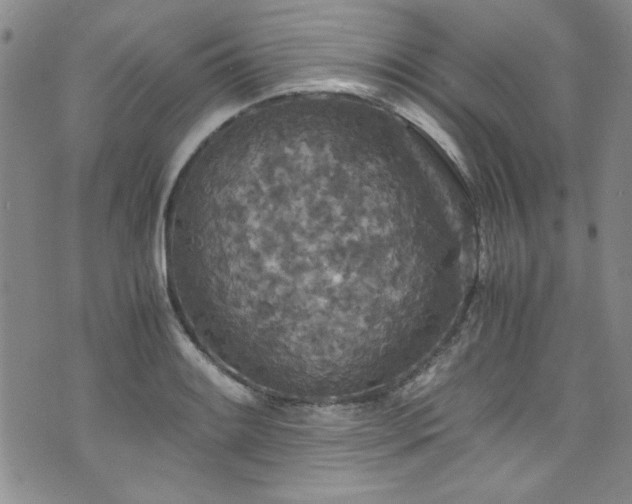 X0000076271084200609281159