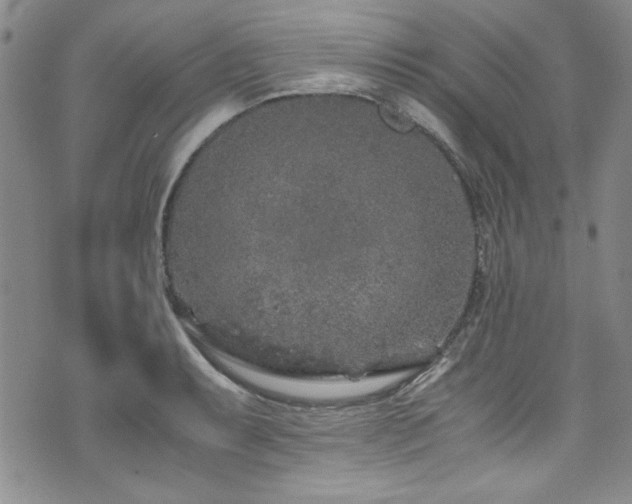 X0000076271087200609281159