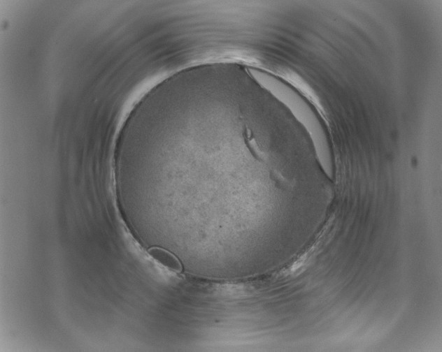 X0000076271088200609281159