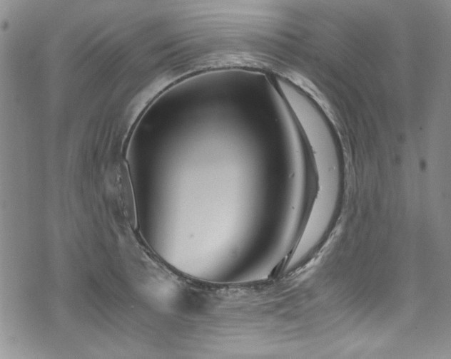 X0000076271089200609281159