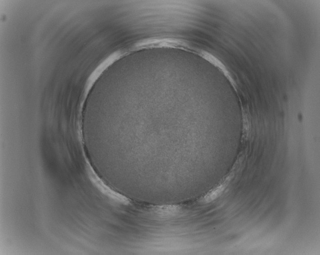 X0000076271090200609281159