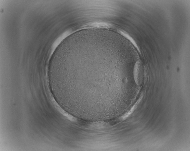 X0000076271091200609281159