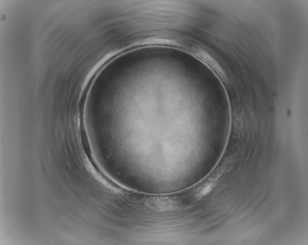 X0000076271092200609281159