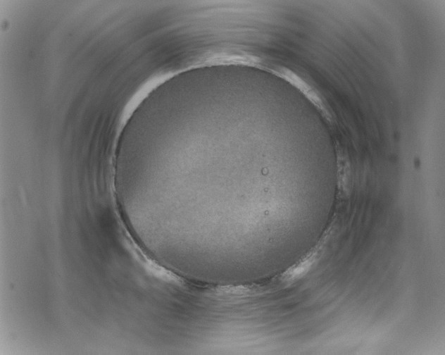 X0000076271094200609281159