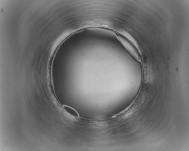 X0000076271096200609281159