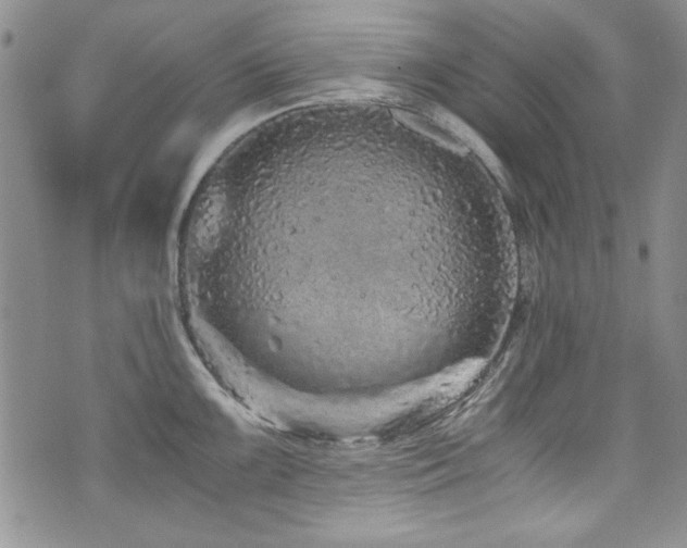 X0000076271099200609281159