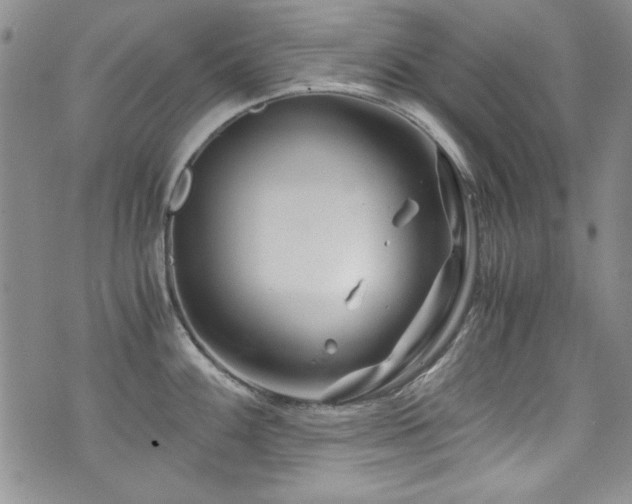 X0000076271100200609281159